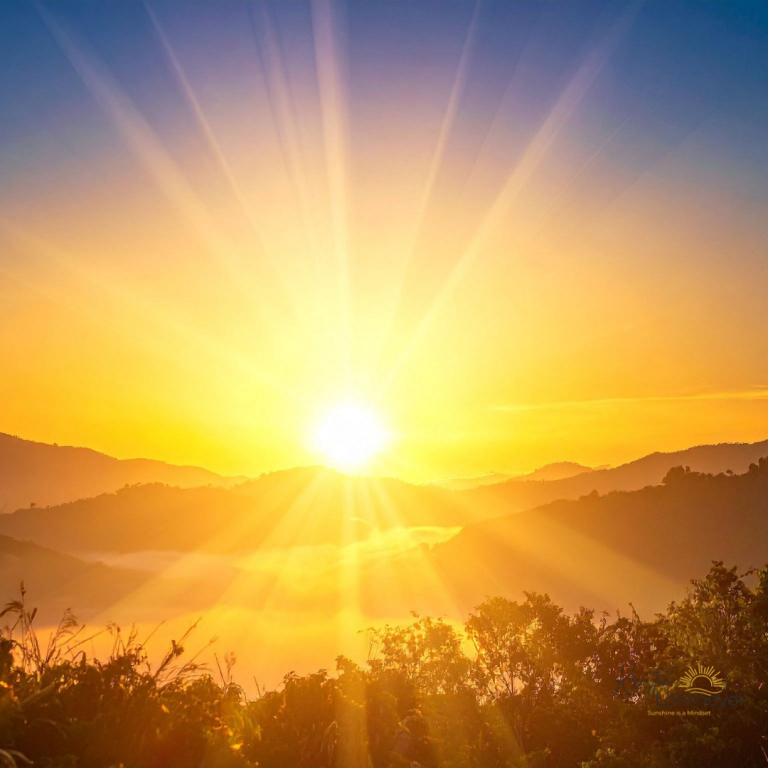 Welcome to the Sunshine Journal